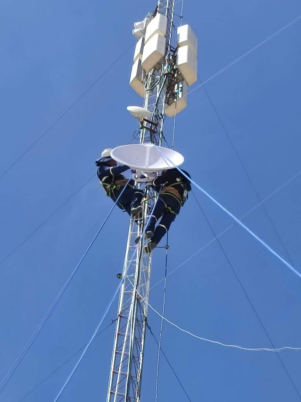 Enlace Satelital/Radio